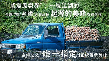 【金鑽啟源】臺灣「金鑽鳳梨」之源 ~二代人對鳳梨的甜美味覺記憶