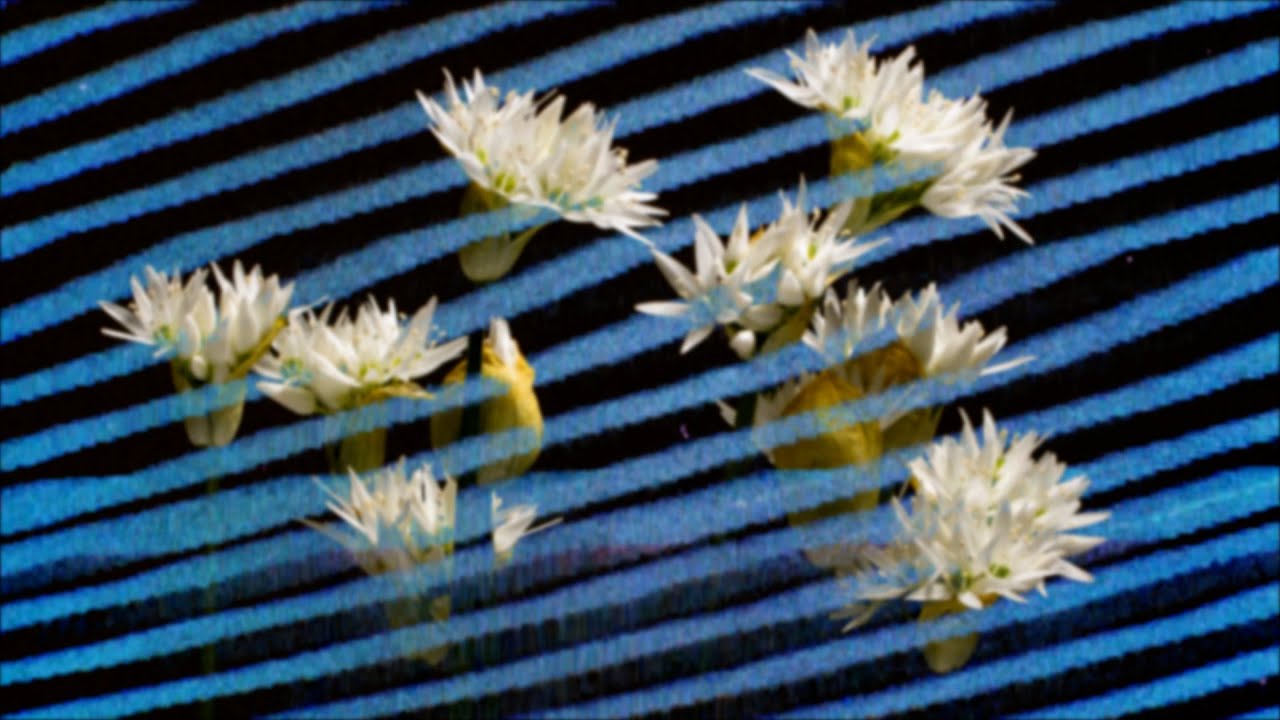 Terz Nervosa – To the Core (Sundl Remix)