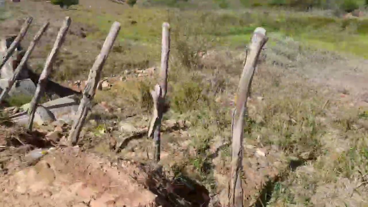 Andamos por área rural de moto 