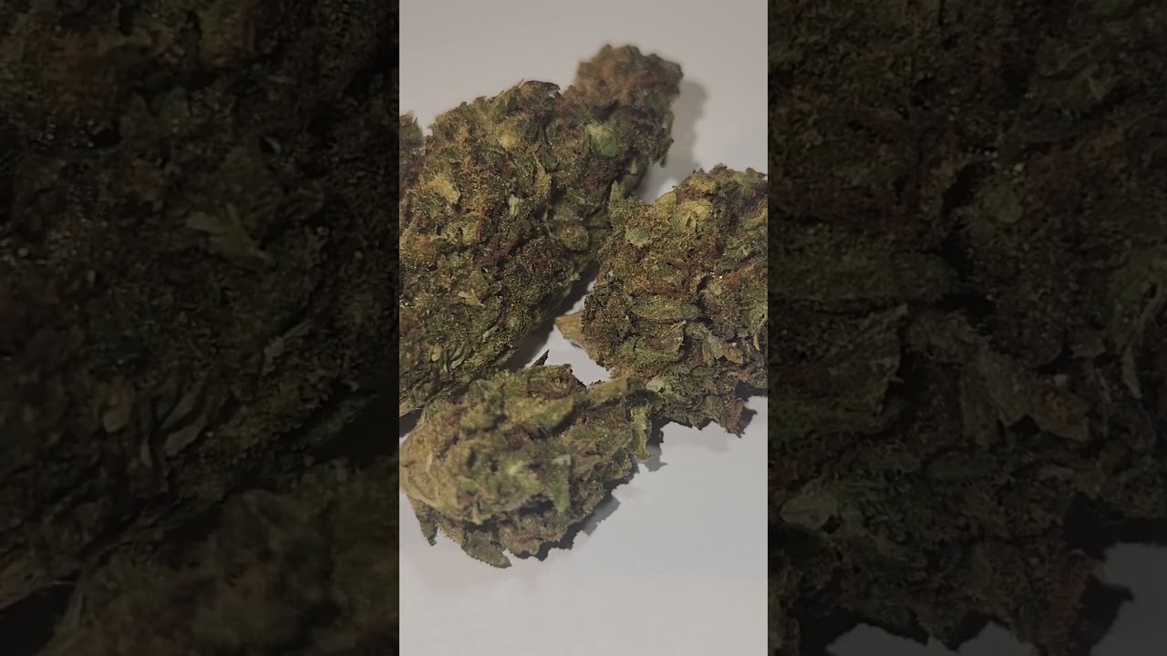 JK Distro Cotton Candy Strain Close-Up