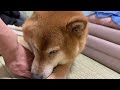 【音楽なし】リアルな時間をお届けします。