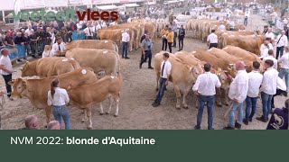 NVM 2022: blonde d'Aquitaine