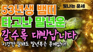 뱀띠운세53년생 말년운세개운법 말년운이 좋은 사주 말년복있는띠 뱀띠운세 뱀띠 운세말년운이좋은띠 노년운 말년복…