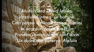 Aleluia - Denisa Badea