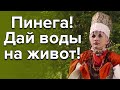 Пинега! Дай воды на живот! Клавдия Хорошавина