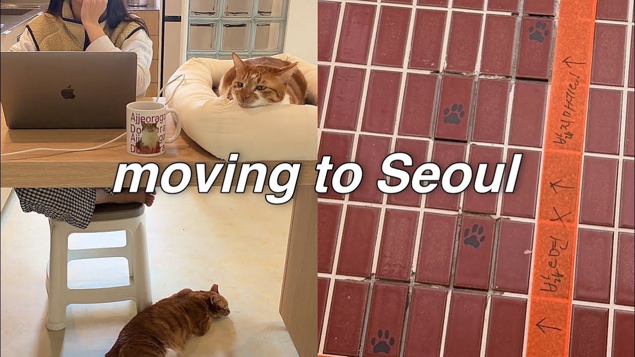 🏠 금산에서 서울까지 문보의 서울 상경기ㅣ뚝딱뚝딱 집 만들기ㅣ유튜브 8주년 이벤트💚