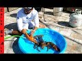 Fisherman's Life - YouTube