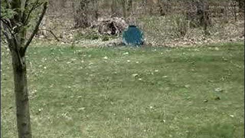 MacDev Droid - Yakuza Board (Semi)