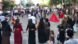 Batarist Cahit & Ekibi Dom Aşiret Düğünü Konuk Sanatçı Mehmet Kalkan 2023