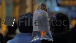 Plastic bag with fish in crowded street