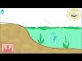 Eutrophication Effects on Aquatic Ecosystems