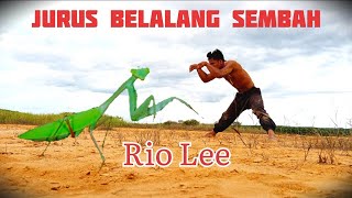 Jurus BELALANG SEMBAH perguruan kung Fu naga merah Siauw Lim sie Indonesia. Rio Lee