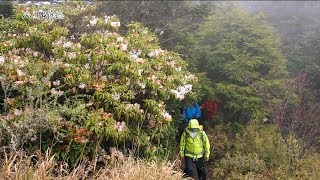 20190512【873】MIT台灣誌 萬里鵬程 邁向雪山之巔 雪東線 對望五路山外山