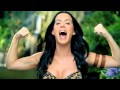 Katy Perry   Roar Official