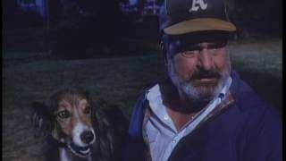 Highway to Heaven - Season 5, Episode 12 – It's a Dog's Life