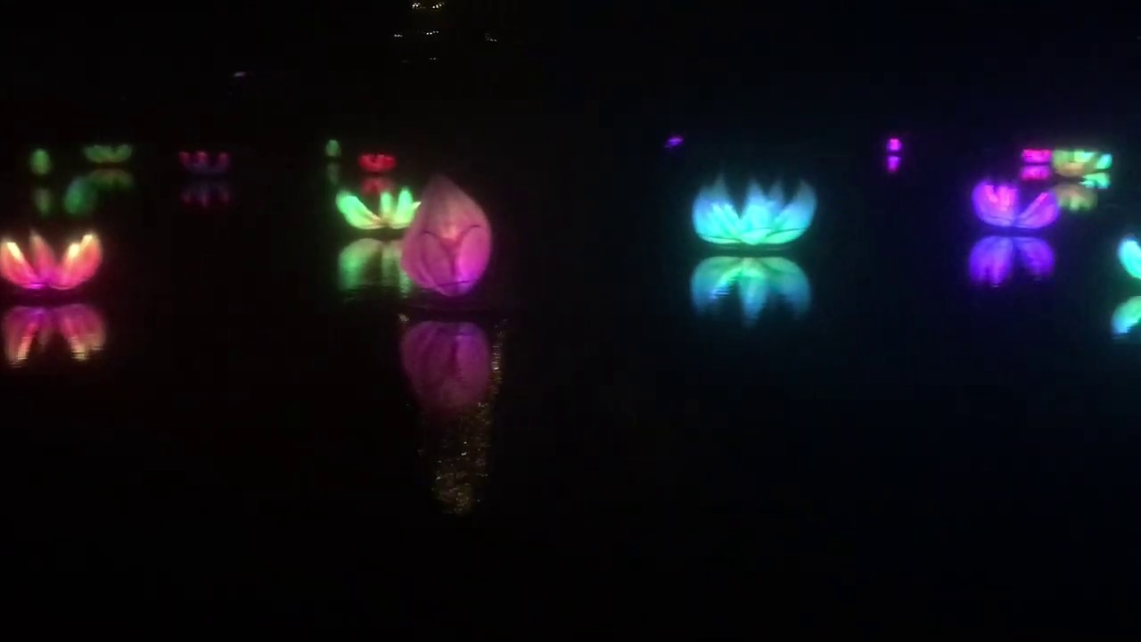 Glow Wild Magic Lights Before Christmas! - YouTube