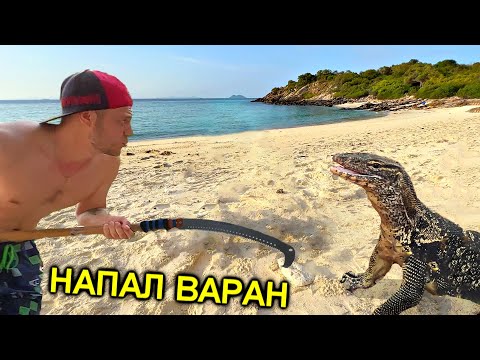 ✅Напал  ГИГАНТСКИЙ ВАРАН 🐊 Выживание на НЕОБИТАЕМОМ ОСТРОВЕ в Тихом океане !!! День первый