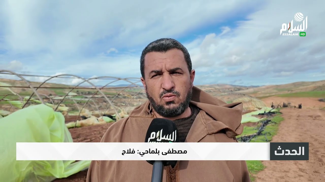 الشلف خسائر معتبرة تعرض لها الفلاحون جراء الرياح القوية