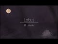 Lotus / 中森明菜 (唄 : Mariko)