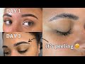 Microshaded Eyebrows: A Detailed Healing Journey and Transformative Results