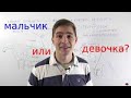 Почему ты мужчина/женщина? (развитие пола у человека)