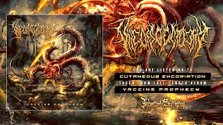 VILE DISCECTOMY - VACCINE PROPHECY [OFFICIAL ALBUM STREAM] (2022) SW EXCLUSIVE