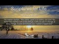 Scriptures for Life | Priority thumbnail