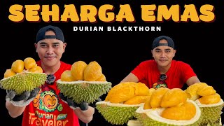 VERY EXPENSIVE ️ DURIAN BLACK THORN [ DURIAN DURI BLACK ] #durian #durianduri Hitam #masduren