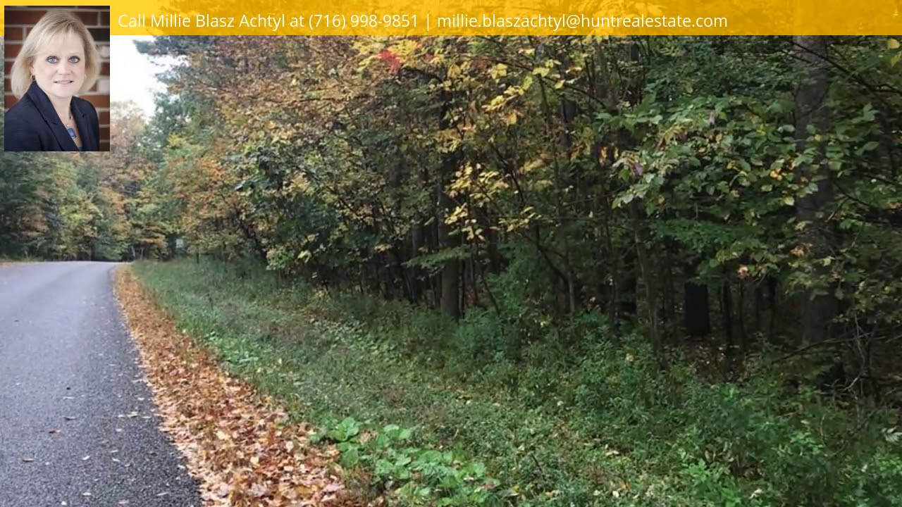 V/L Heath Road, Colden, NY 14033 MLS B1153671 YouTube