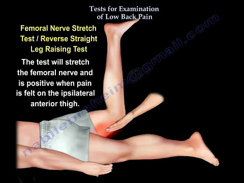 Tests For Examination of the  Lower  Back  - Everything You Need To Know - Dr. Nabil Ebraheim