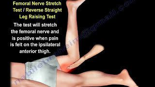 Tests For Examination of the  Lower  Back   Everything You Need To Know  Dr. Nabil Ebraheim