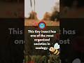 Lifecycle of a Honeybee #sciencefacts #biology #zoology #viralvideo #ytshorts #science #neet #hpset