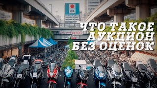 Что такое аукцион без оценок | Мотоциклы с аукциона| Motolife