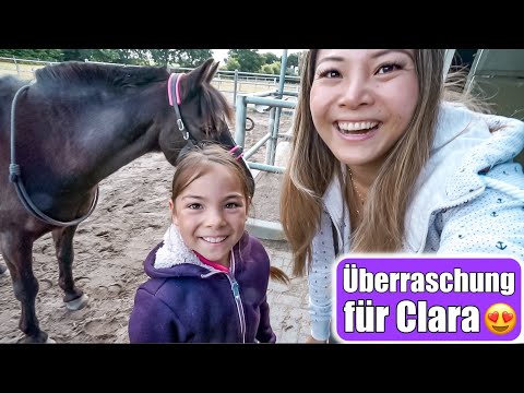 Video: Was Sie Erwartet, Bevor Sie Ihr Erstes Pferd Bekommen