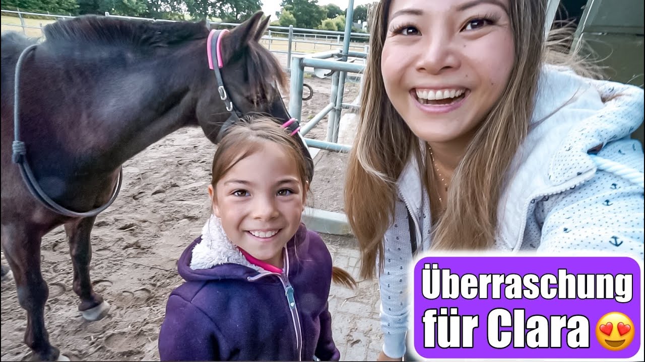 Pferd kaufen für 9 jährige 😍 Claras größter Wunsch! Unsere derzeitige Wohnsituation | Mamiseelen