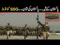 Pakistan kay Sher | SSG Commandos Pakistan | Light Commando Battalion Pakistan Day Parade
