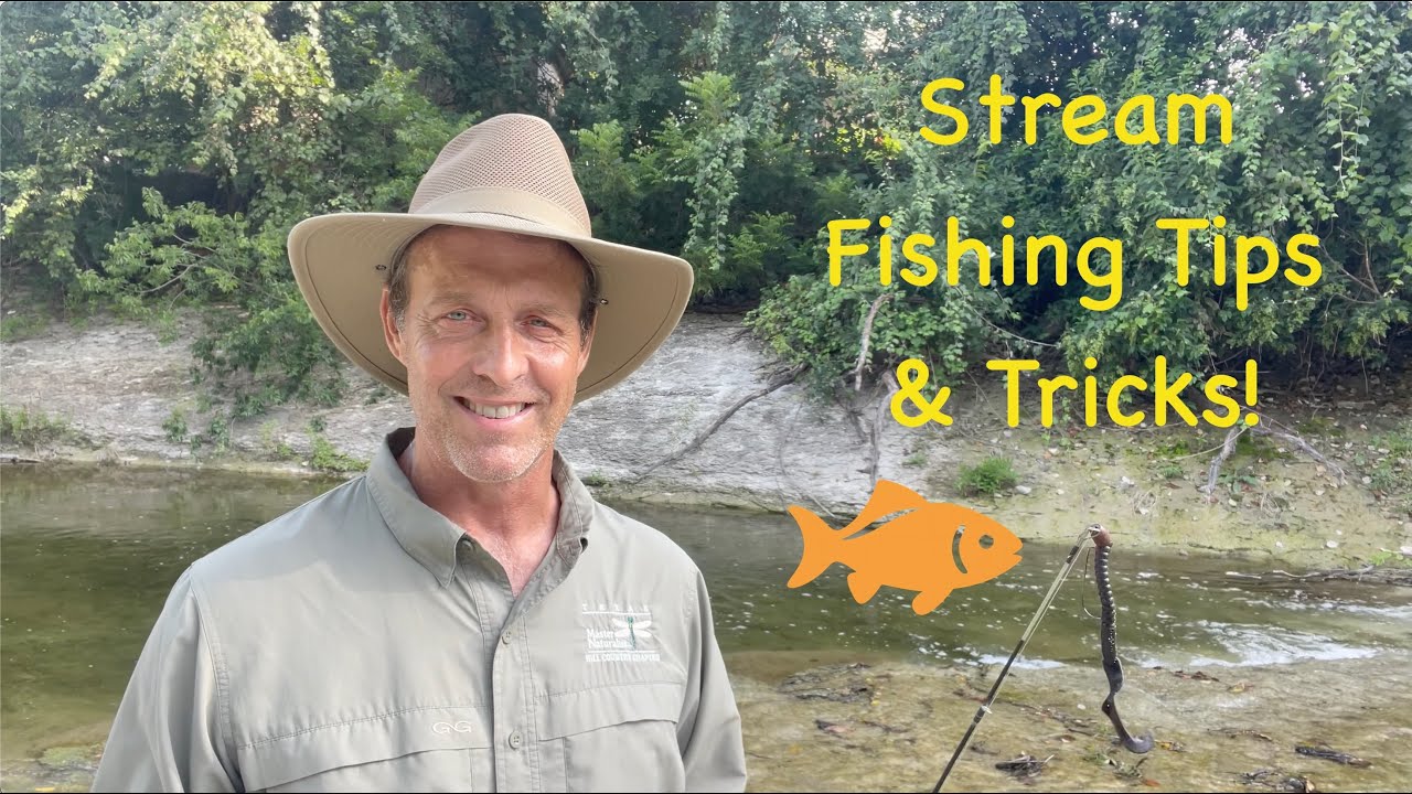 Fundamentals of Freshwater Fishing 🐟 How to Catch Fish in Any Stream