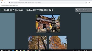 Python 中文教學 :如何使用 selenium 下載網頁上的圖片