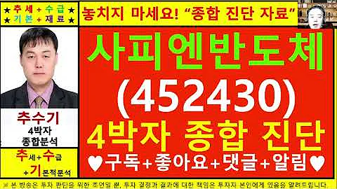 사피엔반도체(452430)종목진단및향후주가전망 추수기(추수)전문가
