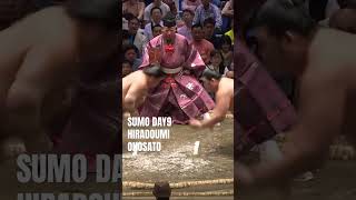 SUMO HIRADOUMI-ONOSATO　＜TOKYO May DAY9＞#shorts
