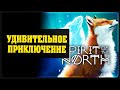 Spirit of the North - Удивительное приключение