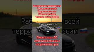 Помогаем сделать водительское удостоверение онлайн 📩✅ #автошкола #права #юмор #россия #пдд