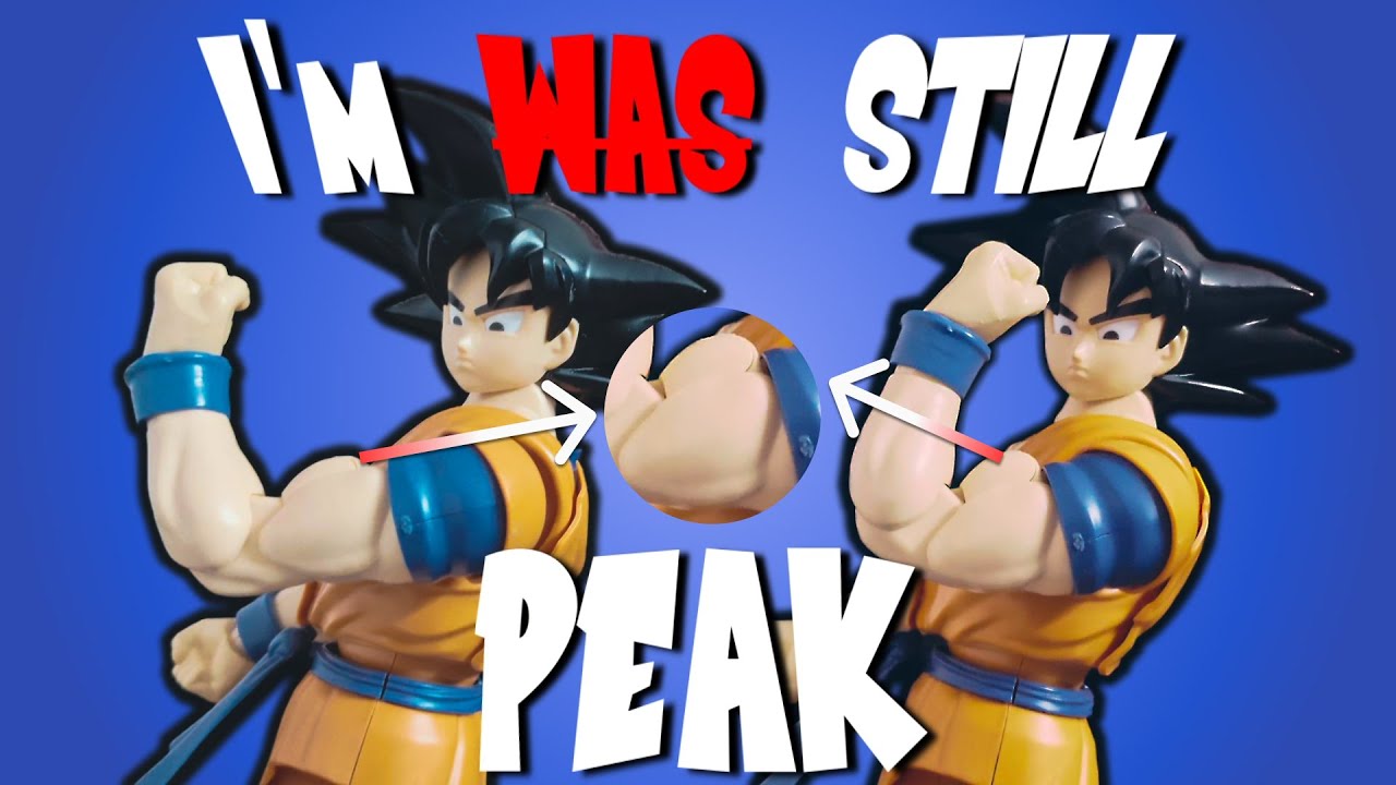 (PEAK GIMMICK) Are SH Figuarts Fans Sleeping on Mg Figurerise GOKU?