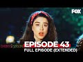 Cherry Season Episode 43 Extended Version Cherry Season Episode 43 Extended Version