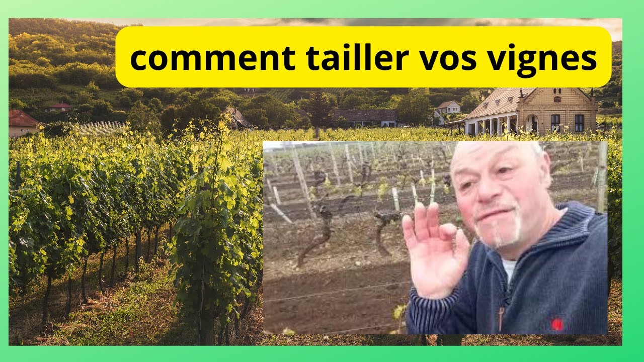 Comment tailler vos vignes pour avoir du raisin - YouTube