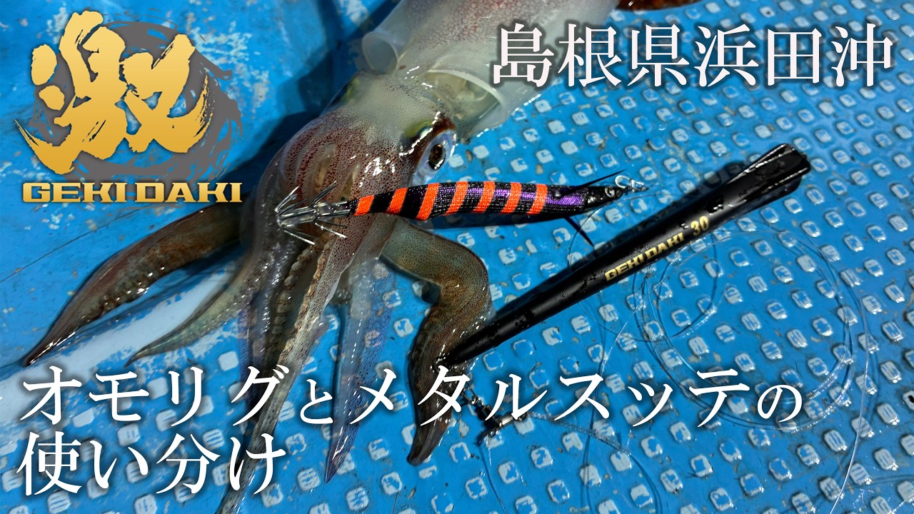 【イカメタル】「オモリグ」と「メタルスッテ」の使い分け in 島根県浜田沖/ 小林 敬宗　#イカメタル #ゲキダキスッテ