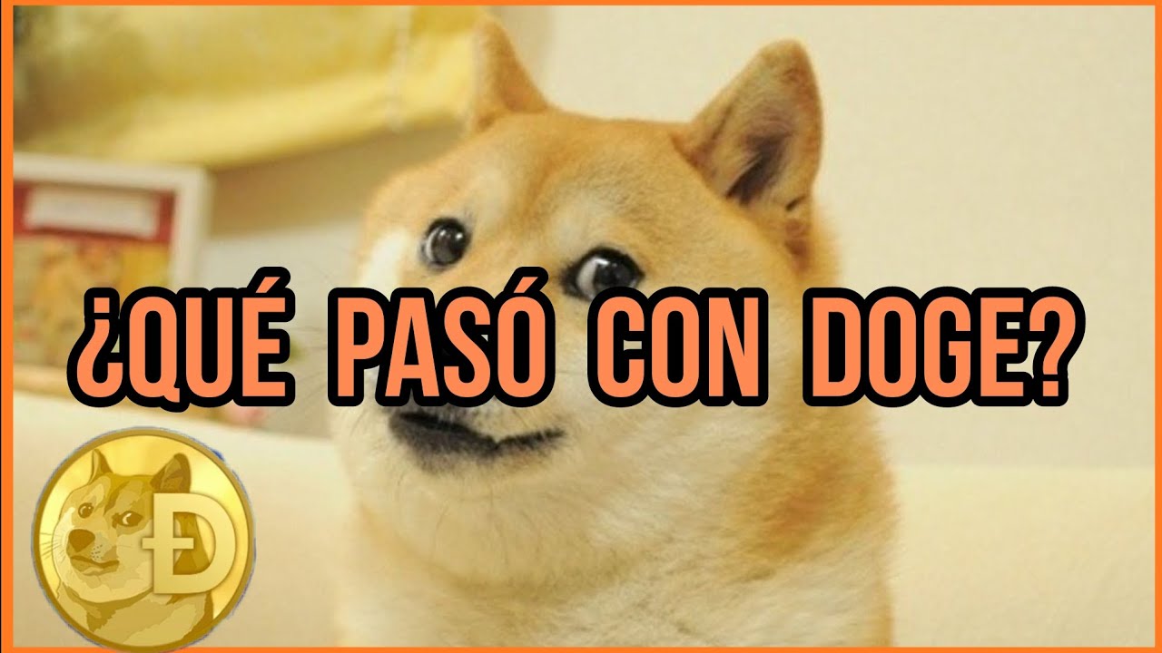 ¿Qué Pasó Con Doge?