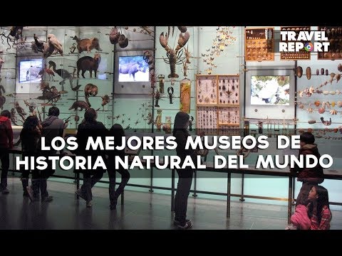 Vídeo: Los Mejores Museos De Historia Natural Del Mundo