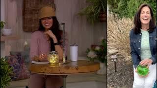Garden Meadow Illuminated Solar Crackle Glass Lantern w/ Fairy Lights on QVC