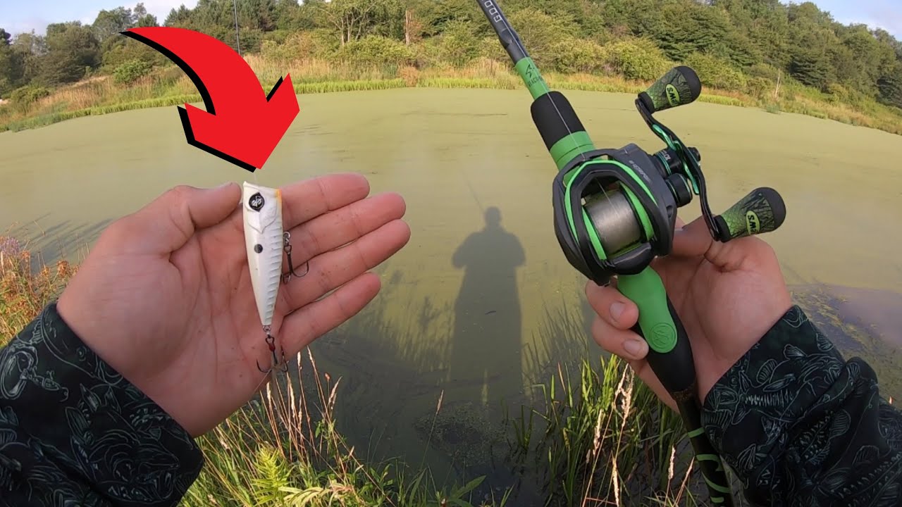 Throw this TOPWATER and you’ll catch GIANT BASS!!!